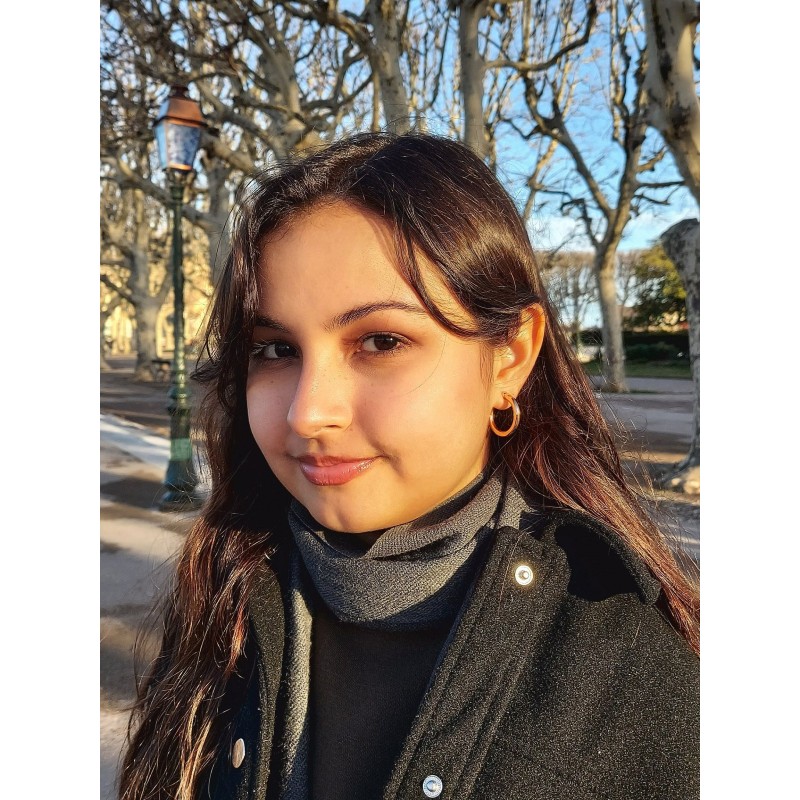 Traveller Clip-on Earrings - Hoops - Rose gold coloured - 25 mm - 18ct Rose gold plated - 155648