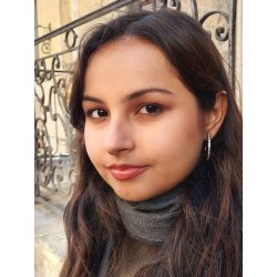 Traveller Ohrclips - Creolen - Platiniert - Preciosa Kristalle - 155836