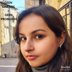 Traveller Clip Oorbellen - Zilverkleurig - Preciosa Kristallen - Half rond - Geplatineerd - 15x3 mm - 157322