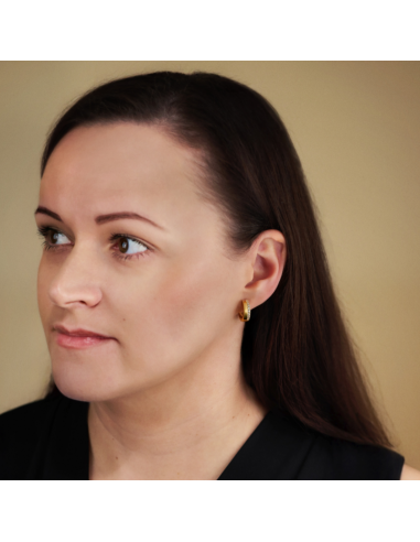 Traveller Ohrringe - Vergoldet - Zirkonia - Ø 16 mm - Edelstahl - 166350