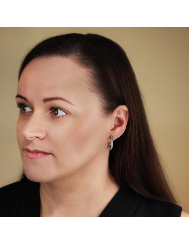 Traveller Clip Oorbellen - Oorringen - Zilverkleurig - Kristal - Geplatineerd - 20 x 4 mm