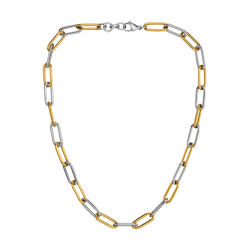 Traveller Dames Ketting - Bicolor - Goud & Zilver - Schakels - Edelstaal - Verguld - 46 cm - 181272