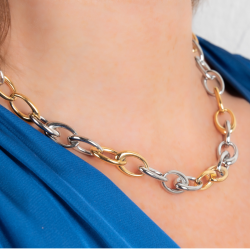 Traveller Dames Ketting - Bicolor - Goud & Zilver- Ovale Schakels - Edelstaal & Verguld Edelstaal - 47 cm
