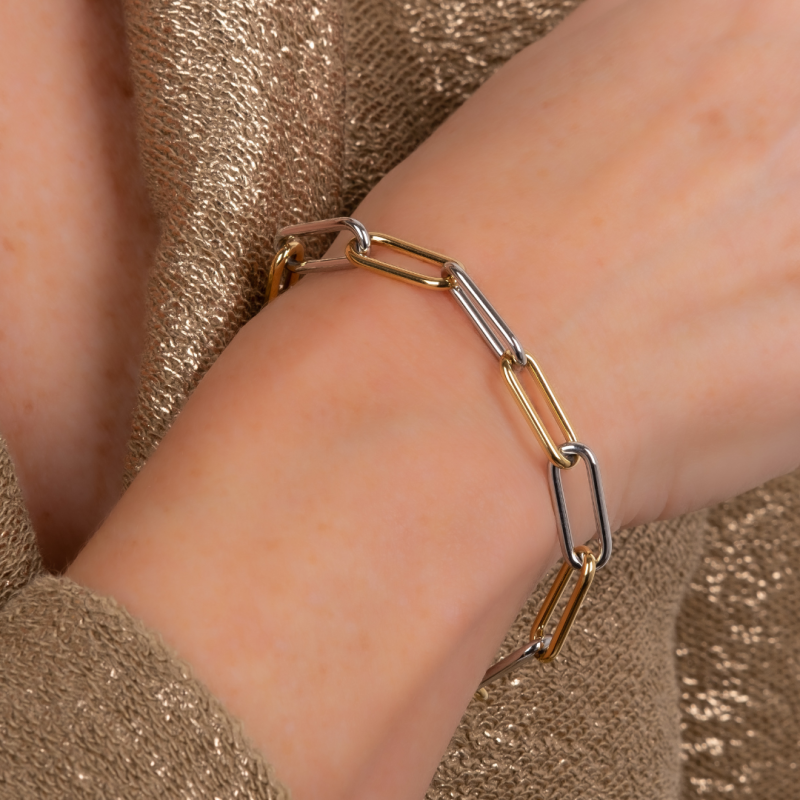 Traveller Armband Dames - Bicolor - Goud & Zilver - Schakels - Edelstaal - Verguld - 21 cm