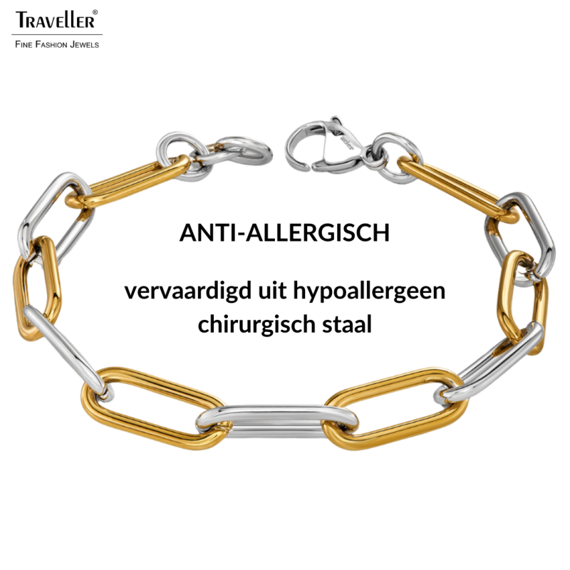 Traveller Armband Dames - Bicolor - Goud & Zilver - Schakels - Edelstaal - Verguld - 21 cm - 181273