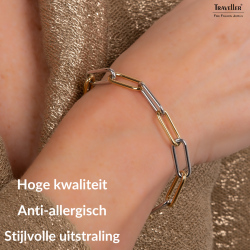 Traveller Armband Dames - Bicolor - Goud & Zilver - Schakels - Edelstaal - Verguld - 21 cm - 181273