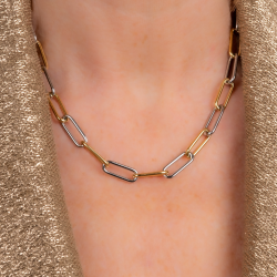 Traveller Dames Ketting - Bicolor - Goud & Zilver - Schakels - Edelstaal - Verguld - 46 cm - 181272