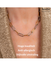 Traveller Ketting - Bicolor - Goud & Zilver - Schakels - Edelstaal - Verguld - 46 cm - 181272