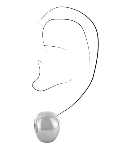 Traveller Oorringen - Zilverkleurig - Edelstaal -  15 x 12 mm - 166370