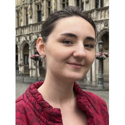 Grossé Earrings - Cinta - Silver Coloured - Crystals - Platinum Plated - 24x14 mm - Bow