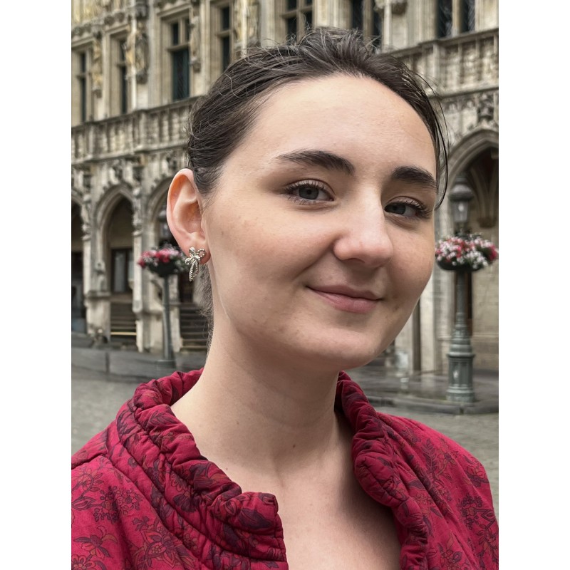 Grossé Ohrstecker - Cinta - Silberfarben - Kristalle - Platiniert - 24x14 mm - Bogen