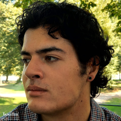 Traveller Stud Earrings - Stainless Steel - Gold Plated - Black PVD - Round - 8mm - 181319