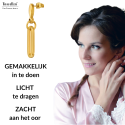 Traveller Oorhangers - Edelstaal - Verguld - Ovale Schakels - 20x7 mm - 181324
