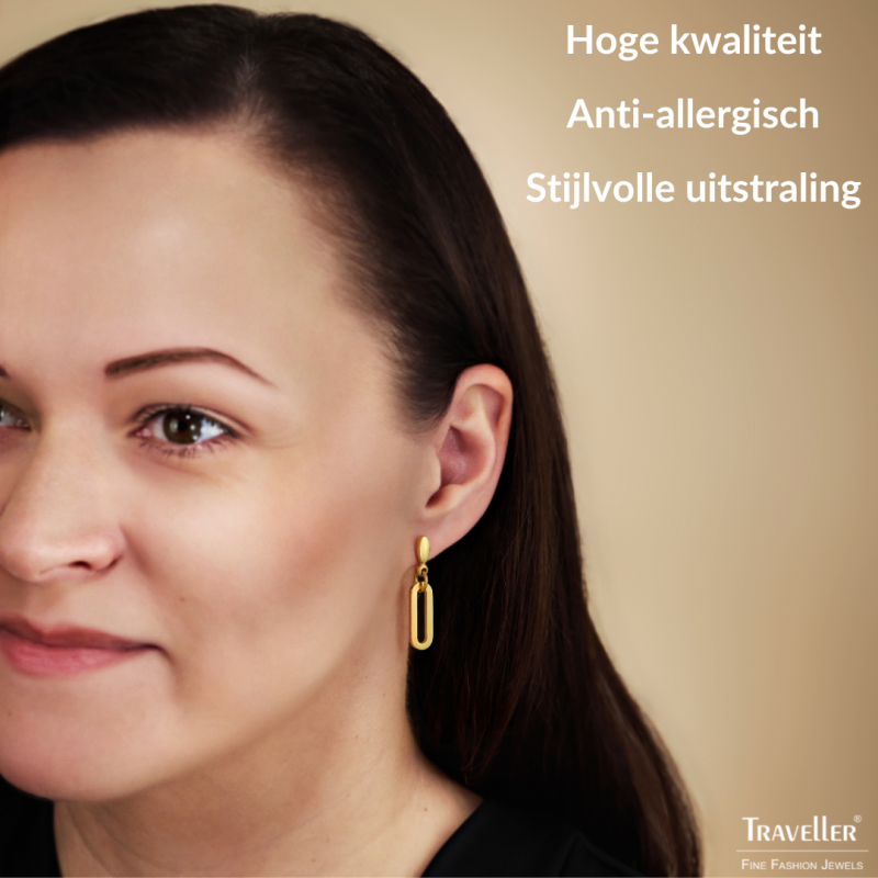 Traveller Oorhangers - Edelstaal - Verguld - Ovale Schakels - 20x7 mm - 181324