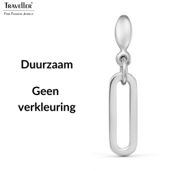 Traveller Oorhangers - Edelstaal - Ovale Schakels - 20x7 mm