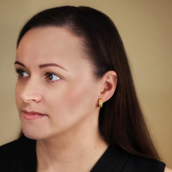 Traveller Clip Oorbellen - Oorringen - Verguld - Kristallen - 15x6mm - 157820