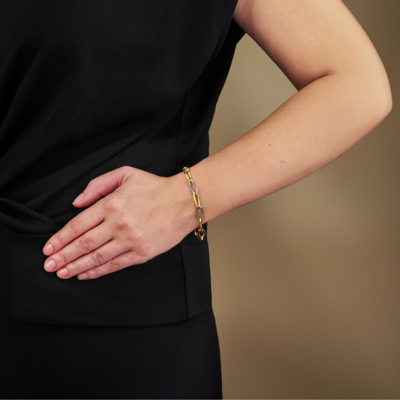 Traveller Armband Dames - Edelstaal - Bicolor - Zilverkleurig & Verguld - Schakels - 21cm - 181318