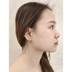 Traveller Oorringen - Edelstaal - Verguld - Zirkonia - 14 mm