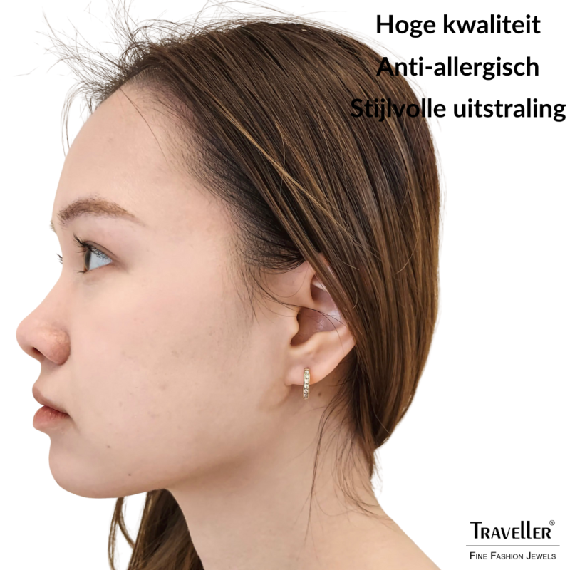 Traveller Oorringen - Edelstaal - Verguld - Zirkonia - 14 mm