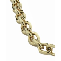 Traveller - Ketting - Verguld - Schakels - Edelstaal - 48 cm - 181085