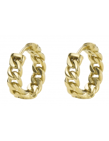 Traveller Hoop earrings - Stainless steel gold plated - 15 mm - 181161