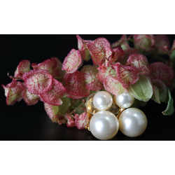 Traveller Clip Oorbellen - Parels - 8 en 12 mm - Crème - Goudkleurig - 22ct Verguld - 20x12 mm - 113120