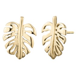 Traveller Ohrstecker - Edelstahl - Vergoldet - Blätter - 15x11 mm