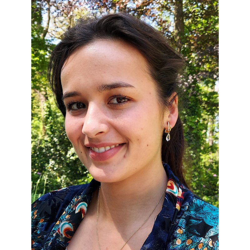 Traveller Clip-on Earrings - Teardrop - Gold coloured - Preciosa Crystals - Gold Plated - 30x5 mm