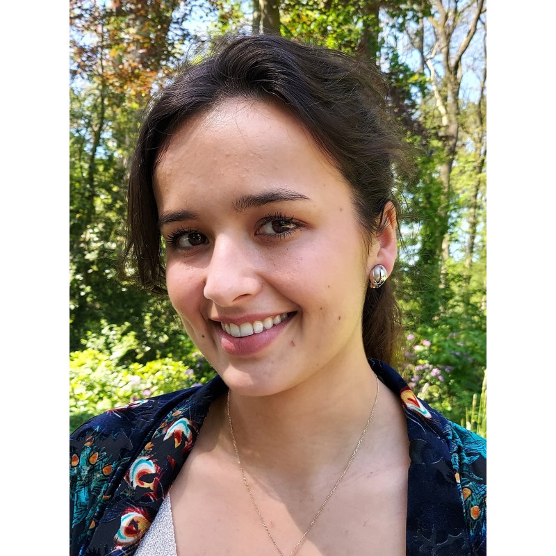 Traveller Ohrclips - Platiniert - Matt/ glanz - Knopf - Silberfarbe - 15 mm