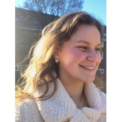 Traveller clip earring - crystals - platinum plated - 156592