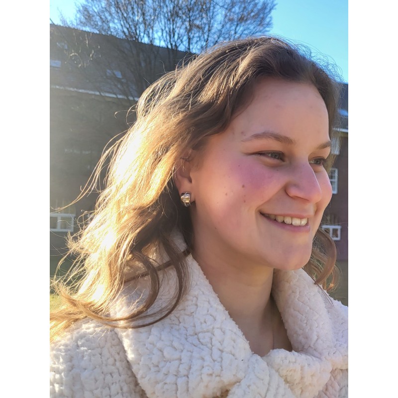 Traveller Ohrclip - Preciosa Kristalle - Platiniert - Silbefarbe - 16x10 mm