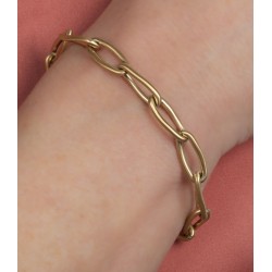 Traveller Armband Dames - Edelstaal - Verguld - Mat - Schakels - 21 cm - 181230