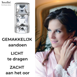 Traveller Clip Oorbellen - Zilverkleurig - Kristal - Geplatineerd - 16 x 8 mm