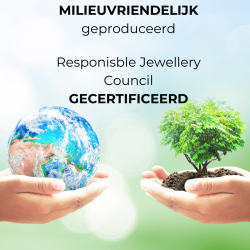 Traveller Oorbellen - Heren - Made in Germany - Zirkonia 3 mm - Edelstaal - Zilverkleurig - Duurzaam - 171013