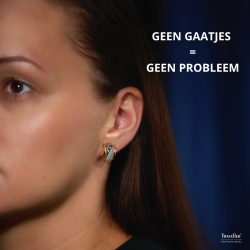 Traveller Clip Oorbellen - Bicolor - Zilver- en Goudkleurig - 15 x 10 mm - Verguld en Geplatineerd - 157610