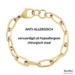 Traveller Armband Dames - Edelstaal - Verguld - Mat - Schakels - 21 cm
