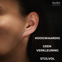 Traveller Oorbellen - Dames - Made in Germany - Zilver - Mat - Ster - ø 6 mm