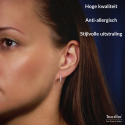 Traveller Oorringen - Edelstaal - Zirkonia - Verguld - Goudkleurig - Ø 14 mm