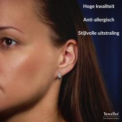 Traveller Oorringen - Edelstaal - Zirkonia - Zilverkleurig - Ø 15 mm - 166320