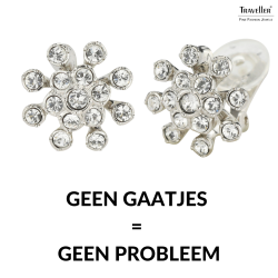 Traveller Clip Oorbellen - Zilverkleurig - Kristallen - Geplatineerd - Bloem - 17mm