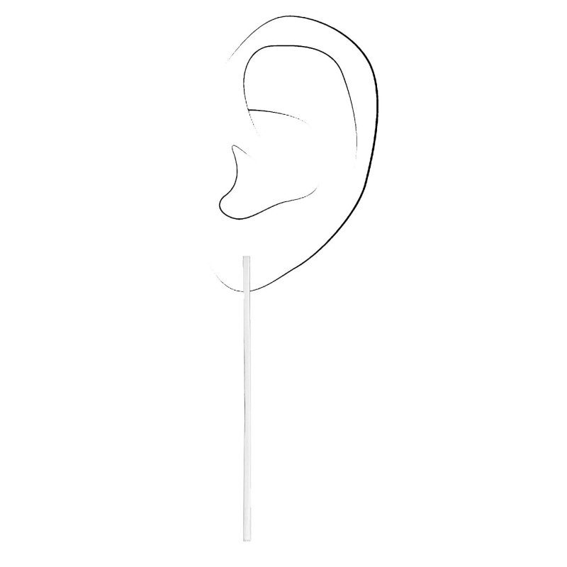 Osira Earrings - Silver Coloured - Bars - platinum Plated - 60 mm