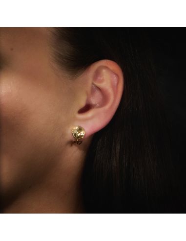 Traveller Clip Oorbellen - Verguld - Kristal - Bruin / Golden Shadow - 10 mm - 157513