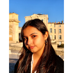 Traveller Clip Oorbellen - Hoops - Zilverkleurig - Preciosa Kristallen - 33 mm