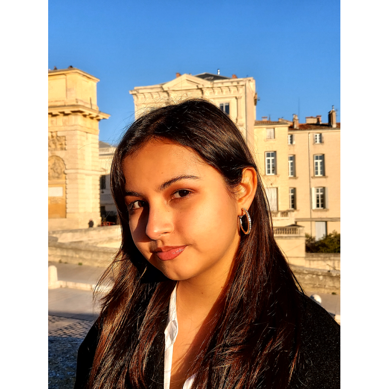 Traveller Ohrclips - Creolen - Platiniert - Preciosa Kristalle - 155836