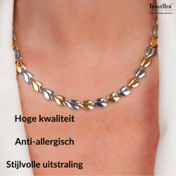 Traveller Dames Ketting - Edelstaal - Goudkleurig & Zilverkleurig - Bicolor - 45 cm - Hartjes - 180910