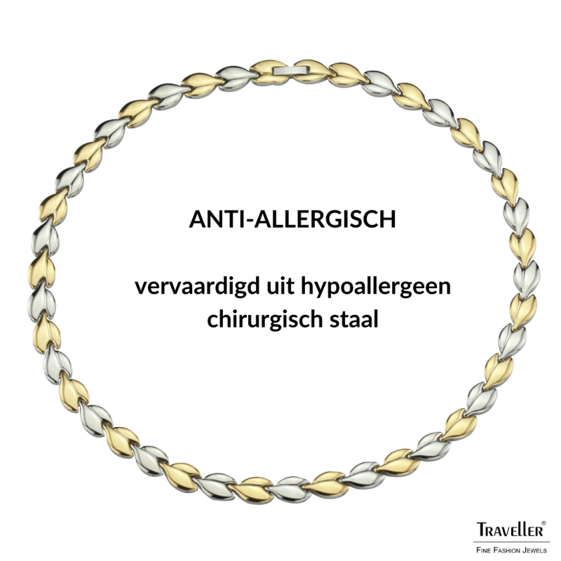 Traveller Ketting - Dames - Edelstaal - Goudkleurig & Zilverkleurig - Bicolor - 45 cm - Hartjes - 180910