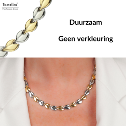 Traveller Ketting - Dames - Edelstaal - Goudkleurig & Zilverkleurig - Bicolor - 45 cm - Hartjes - 180910