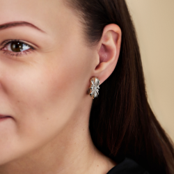 Traveller Clip-on Earrings - Silver Coloured - Crystals - Platinum Plated - 20x10 mm - 157703