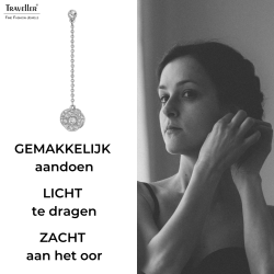 Traveller Oorhangers - Zilverkleurig - Kristallen - Geplatineerd -  45x10 mm - 157707