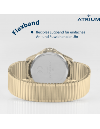 ATRIUM Armbanduhr - Herren - Vergoldet - Zugband aus  Edelstahl (19,5cm) - 5 Bar - Klar - Quartz - A48-60